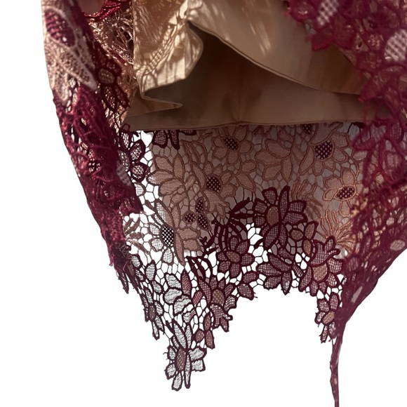 Bardot Burgundy and Beige Lace Overlay Sheath Dress Size 8 - Picture 6 of 7